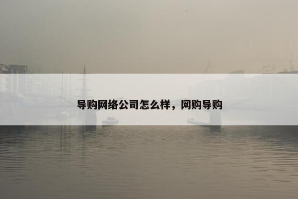 导购网络公司怎么样，网购导购