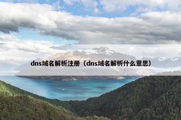 dns域名解析注册（dns域名解析什么意思）