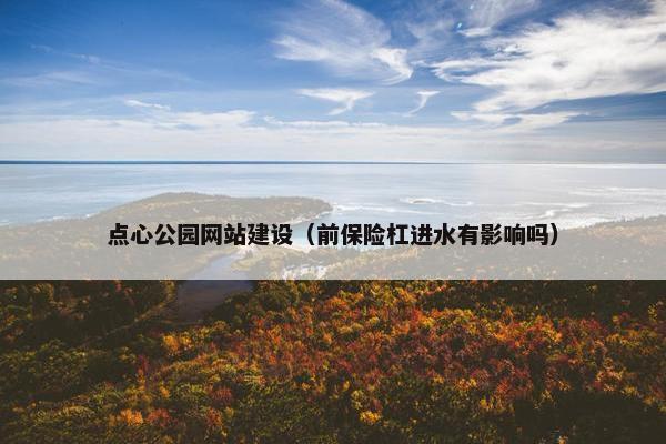 点心公园网站建设（前保险杠进水有影响吗）
