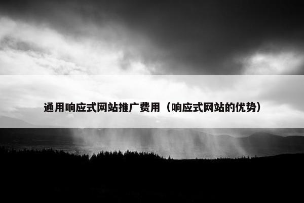 通用响应式网站推广费用（响应式网站的优势）