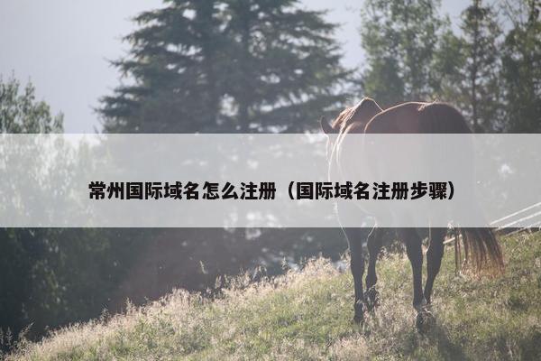 常州国际域名怎么注册（国际域名注册步骤）