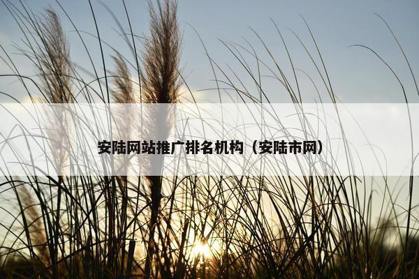 安陆网站推广排名机构（安陆市网）
