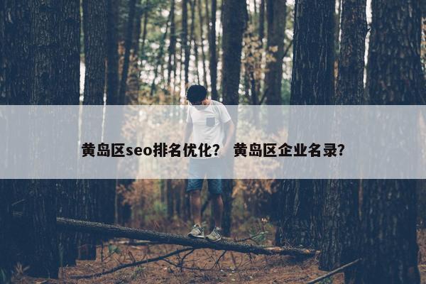 黄岛区seo排名优化？ 黄岛区企业名录？