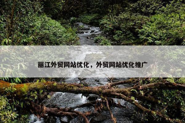 丽江外贸网站优化，外贸网站优化推广
