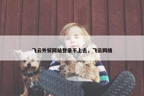 飞云外贸网站登录不上去，飞云网络