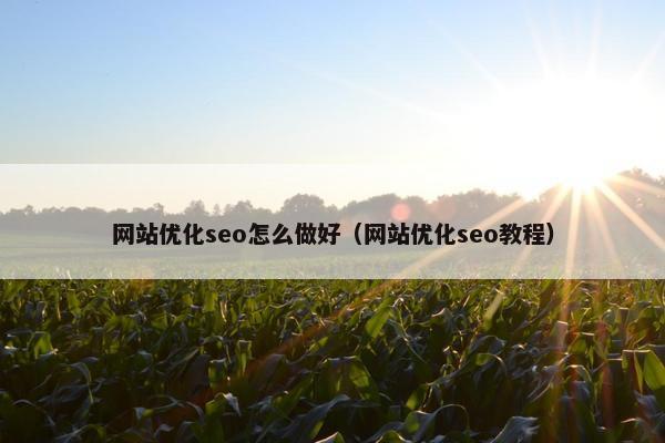 网站优化seo怎么做好（网站优化seo教程）