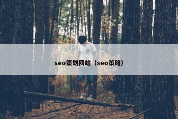seo策划网站（seo策略）
