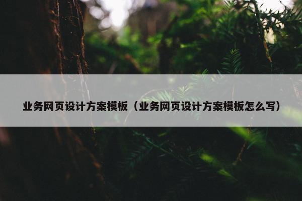 业务网页设计方案模板（业务网页设计方案模板怎么写）