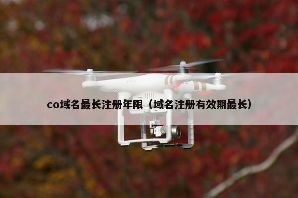 co域名最长注册年限（域名注册有效期最长）