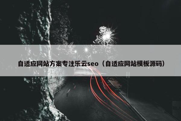 自适应网站方案专注乐云seo（自适应网站模板源码）