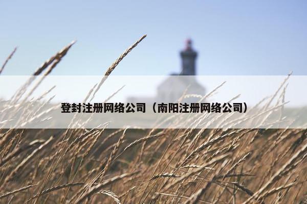 登封注册网络公司（南阳注册网络公司）