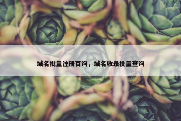 域名批量注册百询，域名收录批量查询