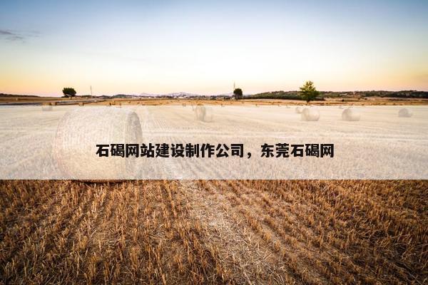 石碣网站建设制作公司，东莞石碣网