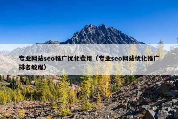 专业网站seo推广优化费用（专业seo网站优化推广排名教程）