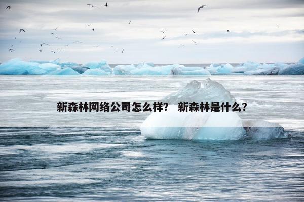 新森林网络公司怎么样？ 新森林是什么？