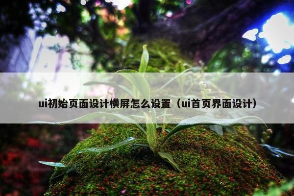 ui初始页面设计横屏怎么设置（ui首页界面设计）