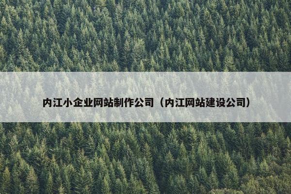 内江小企业网站制作公司（内江网站建设公司）