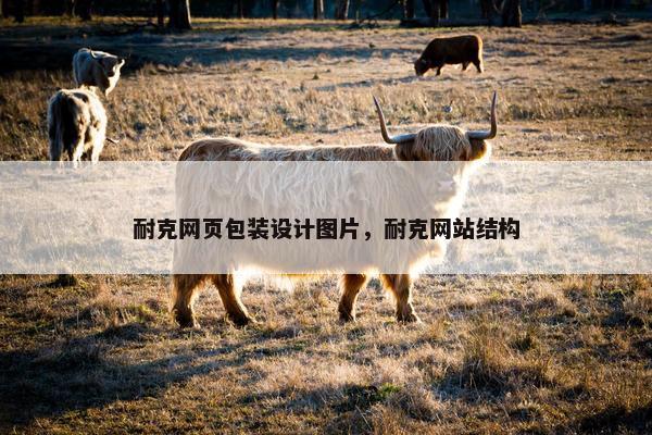 耐克网页包装设计图片，耐克网站结构