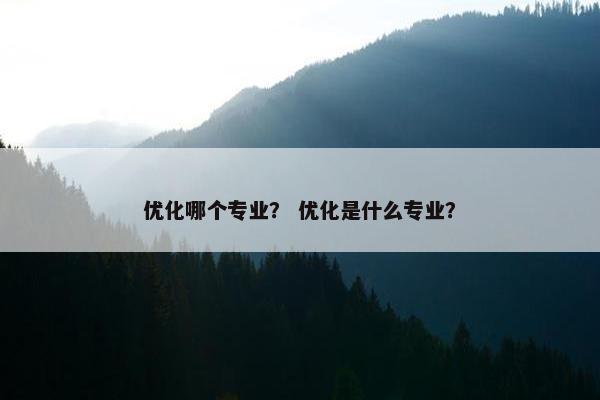 优化哪个专业？ 优化是什么专业？