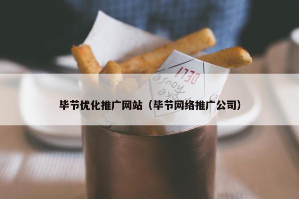 毕节优化推广网站（毕节网络推广公司）