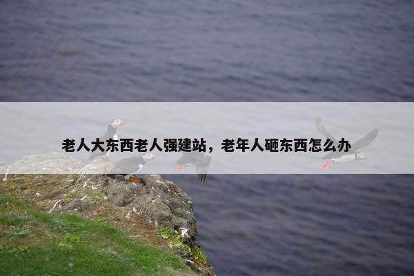 老人大东西老人强建站，老年人砸东西怎么办