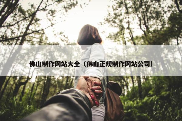 佛山制作网站大全（佛山正规制作网站公司）