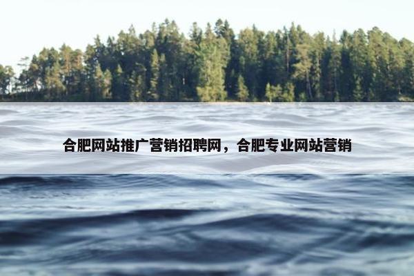 合肥网站推广营销招聘网，合肥专业网站营销