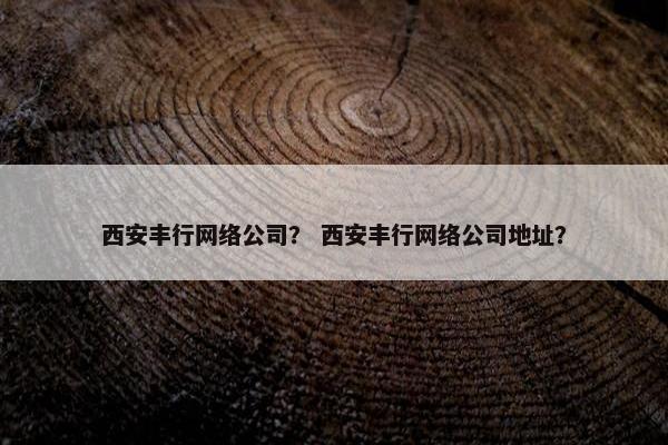 西安丰行网络公司？ 西安丰行网络公司地址？