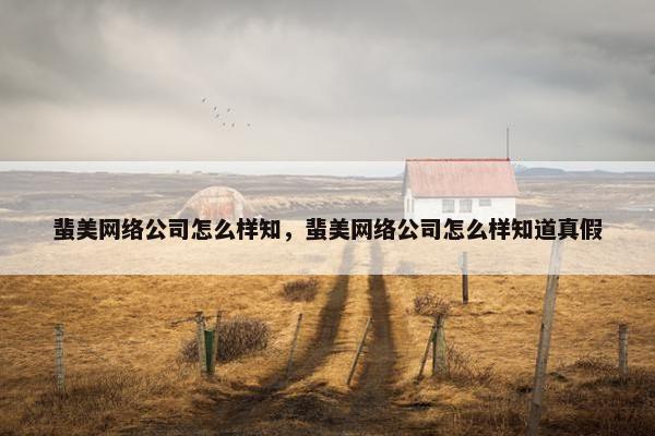 蜚美网络公司怎么样知，蜚美网络公司怎么样知道真假