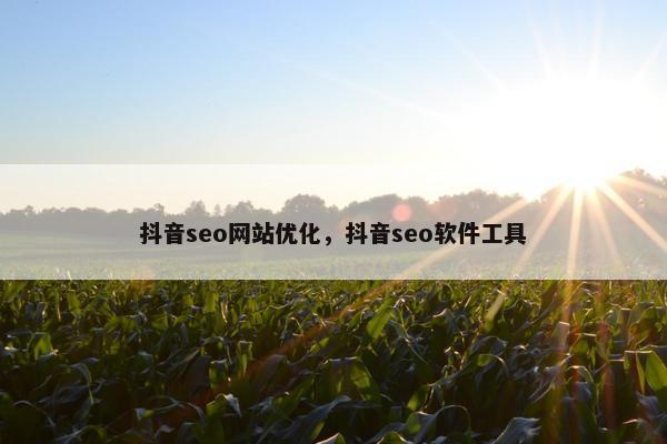 抖音seo网站优化，抖音seo软件工具