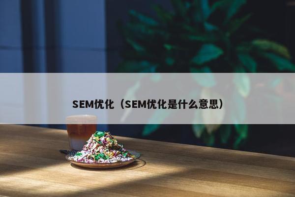 SEM优化（SEM优化是什么意思）