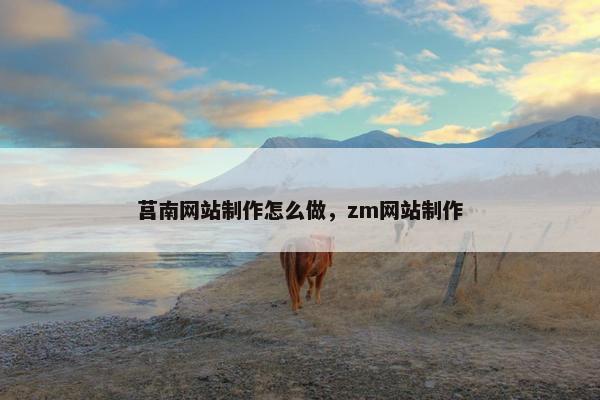 莒南网站制作怎么做，zm网站制作