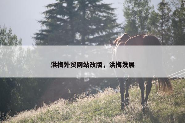 洪梅外贸网站改版，洪梅发展