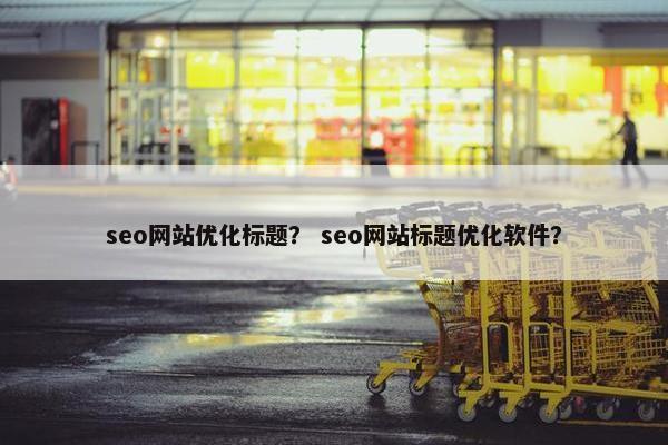 seo网站优化标题？ seo网站标题优化软件？
