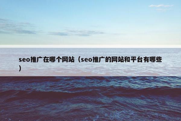 seo推广在哪个网站（seo推广的网站和平台有哪些）