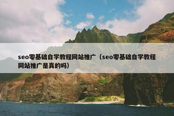 seo零基础自学教程网站推广（seo零基础自学教程网站推广是真的吗）
