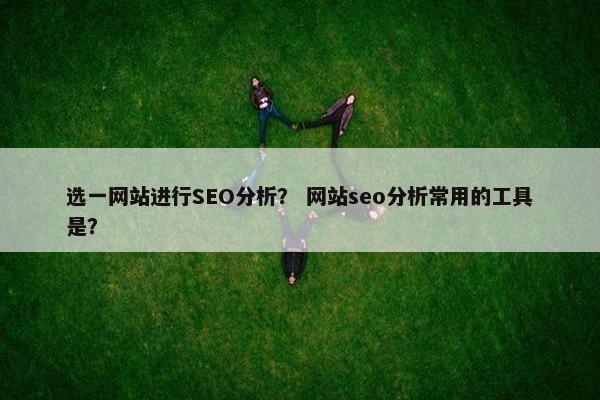 选一网站进行SEO分析？ 网站seo分析常用的工具是？