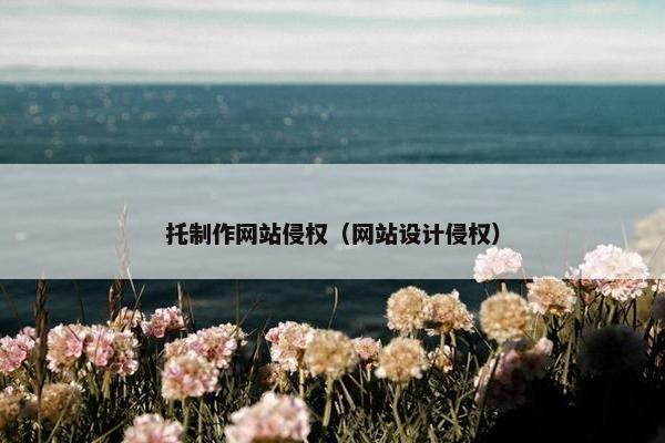 托制作网站侵权（网站设计侵权）
