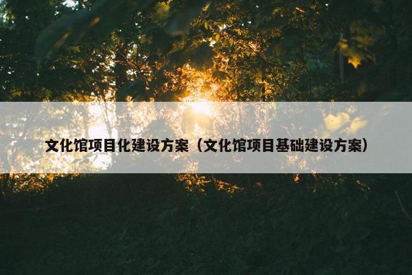 文化馆项目化建设方案（文化馆项目基础建设方案）