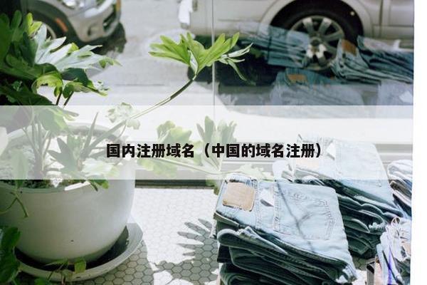 国内注册域名（中国的域名注册）
