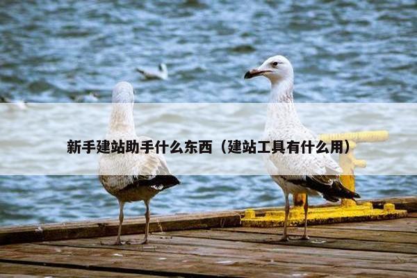 新手建站助手什么东西（建站工具有什么用）