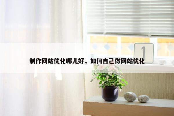 制作网站优化哪儿好，如何自己做网站优化