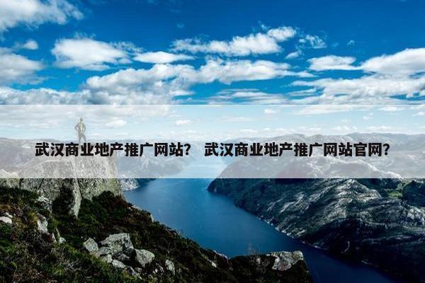武汉商业地产推广网站？ 武汉商业地产推广网站官网？