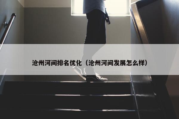 沧州河间排名优化（沧州河间发展怎么样）