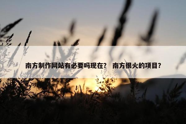 南方制作网站有必要吗现在？ 南方很火的项目？