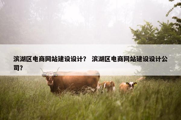 滨湖区电商网站建设设计？ 滨湖区电商网站建设设计公司？