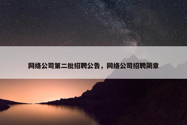 网络公司第二批招聘公告，网络公司招聘简章