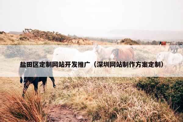 盐田区定制网站开发推广（深圳网站制作方案定制）