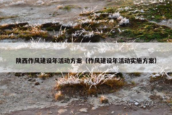 陕西作风建设年活动方案（作风建设年活动实施方案）