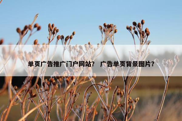 单页广告推广门户网站？ 广告单页背景图片？